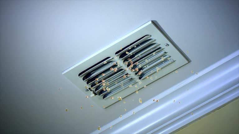 Best HVAC Duct Inspection Services  in Buckhannon, WV
