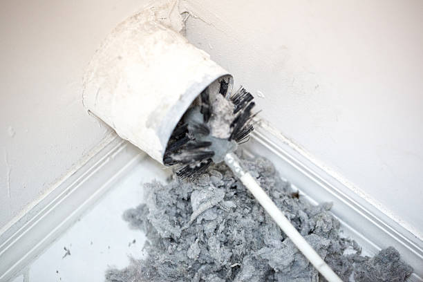 Best Affordable Air Duct Cleaning  in Buckhannon, WV