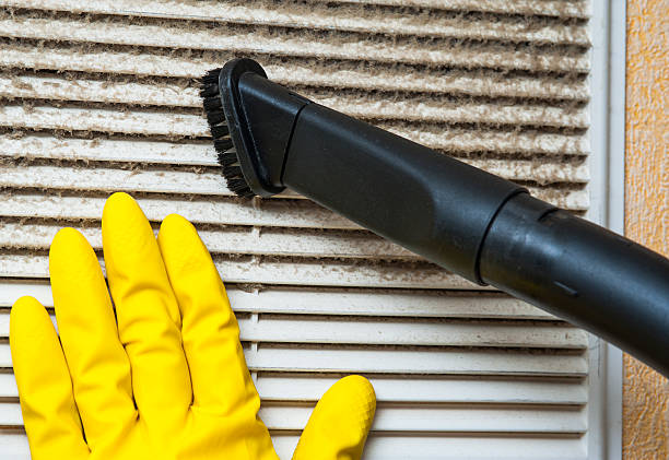 Best HVAC Air Duct Cleaning  in Buckhannon, WV